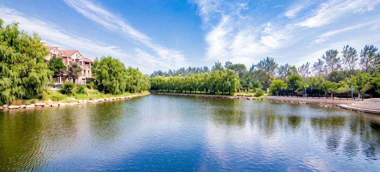 秦皇岛森林逸城恋家观海公寓(金梦海湾店)图片
