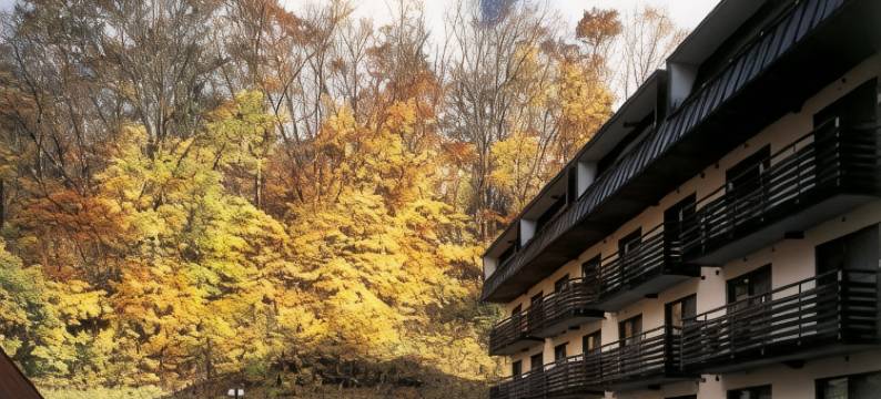 藏王勒贝尔酒店(Le Vert Zao)图片