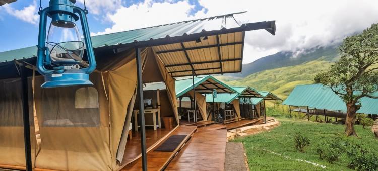 野生露营纳克尔斯(Wild Glamping Knuckles - Thema Collection)图片