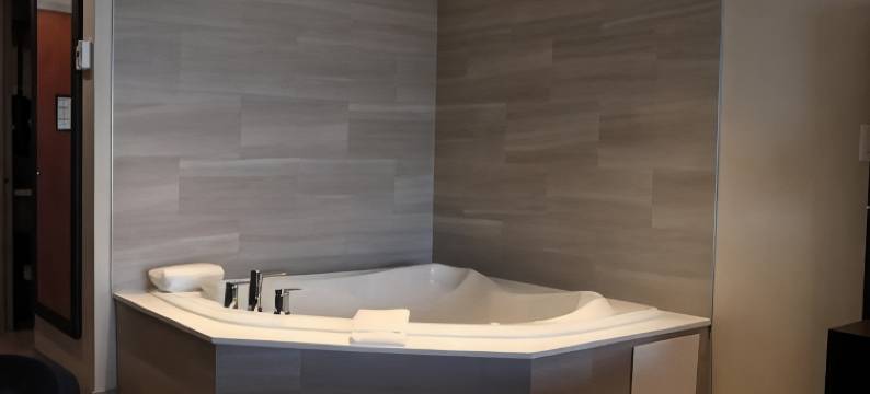 智选假日套房酒店宾顿(Holiday Inn Express & Suites BRAMPTON by IHG)图片