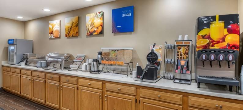 舒适套房酒店(Comfort Inn & Suites Napoleon)图片