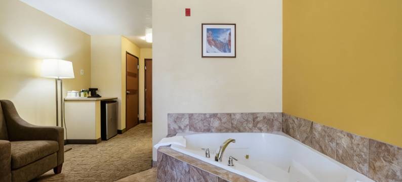 舒适套房(Comfort Inn & Suites)图片