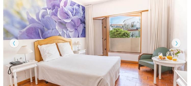 阿尔德亚酒店(Hotel da Aldeia - Adults Only)图片