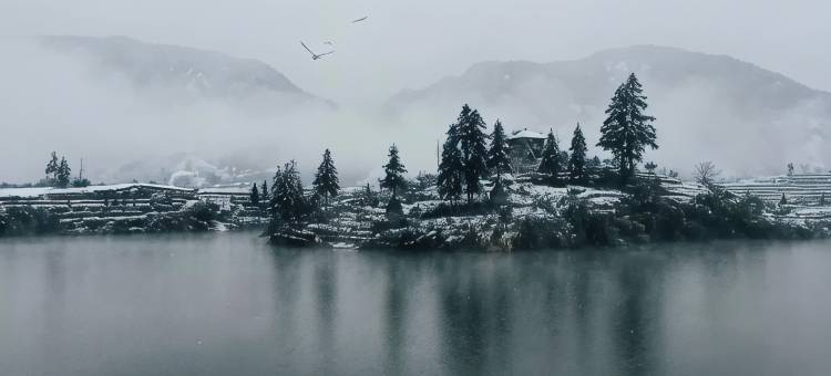 松阳柒茶客栈(大木山景区店)图片
