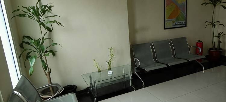 绿叶旅舍(Green Leaf Inn)图片