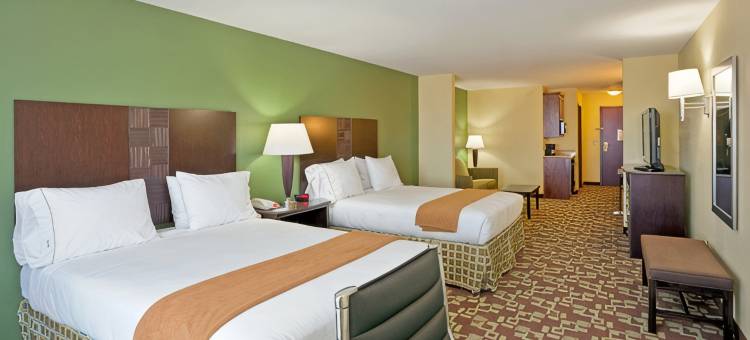 杜马智选假日酒店及套房(Holiday Inn Express & Suites DUMAS by IHG)图片