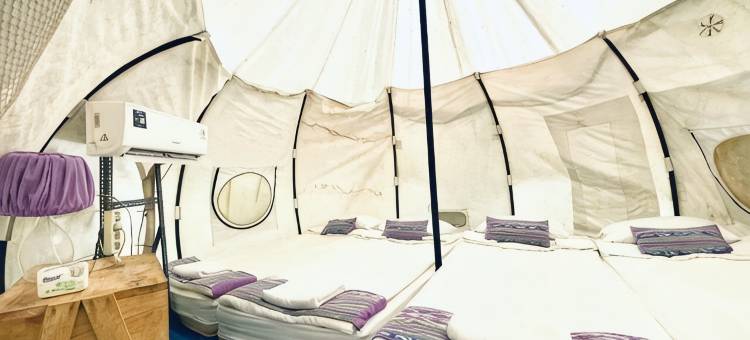 布拉沃探险露营地(Bravo Adventure Glamping)图片