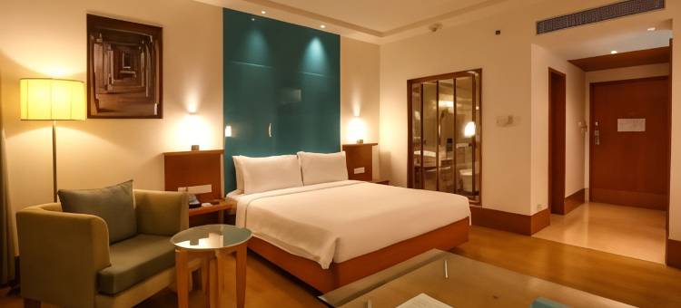 金奈市中心丽笙酒店(Radisson Chennai City Centre, India)图片
