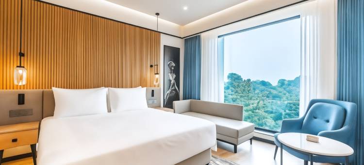 丽笙酒店普拉亚格拉杰(Radisson Hotel Prayagraj)图片