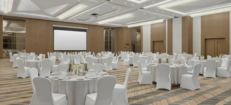 塔布科假日酒店(Holiday Inn TABUK by IHG)图片