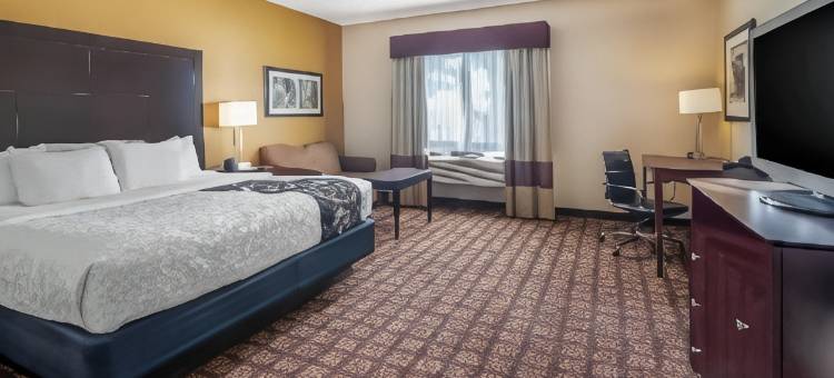 北那不勒斯博尼塔斯普林斯拉昆塔温德姆套房酒店(La Quinta Inn & Suites by Wyndham Bonita Springs Naples N.)图片