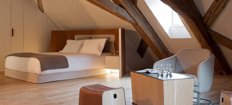 勒斯哈里斯酒店(Hotel les Haras by Stay Collection)图片