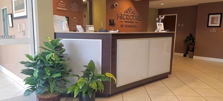 谢尔比维尔麦客达套房酒店(Microtel Inn & Suites by Wyndham Shelbyville)图片