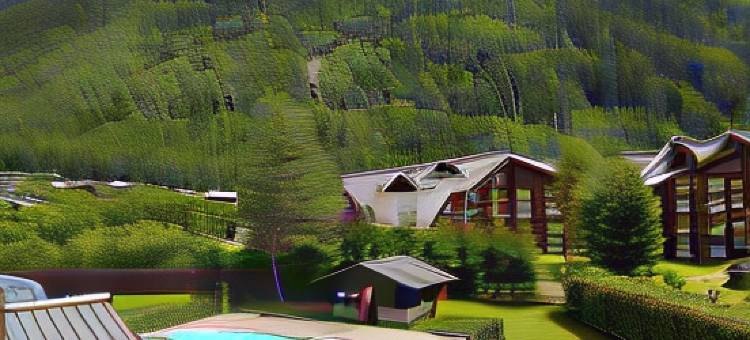 夏勒特-酒店拉舍梅纳兹(Chalet-Hôtel la Chemenaz)图片