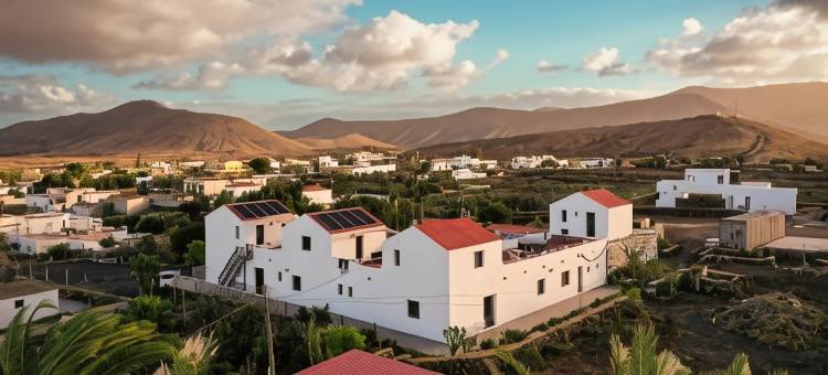 可可洛雷斯之家(Casa Cocolores)图片