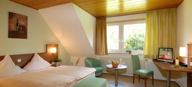 休恢酒店与阿米乡村庄园餐馆(Hotel Zur Erholung & Restaurant Amme's Landhaus)图片