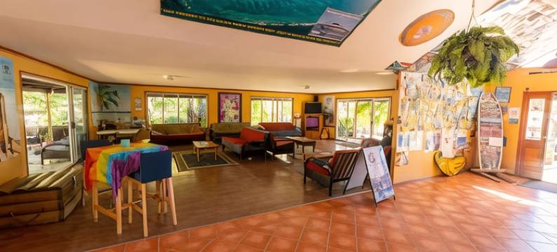 酷香蕉背包客旅馆(Cool Bananas Backpackers)图片