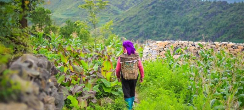 荷米家庭旅馆 - 青年旅舍(Homie Homestay)图片