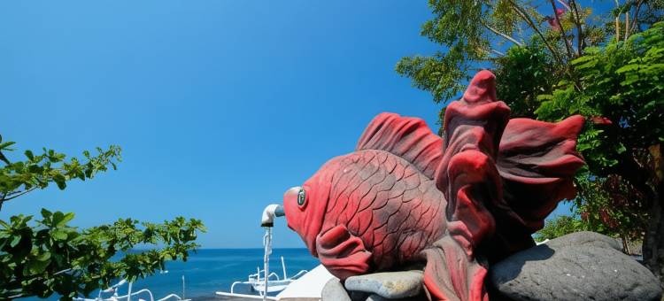 瓦罗米亚海滨酒店(Valomia Beachfront)图片