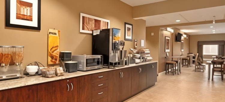 奥索卡温德姆麦客达套房酒店(Microtel Inn & Suites by Wyndham Ozark)图片