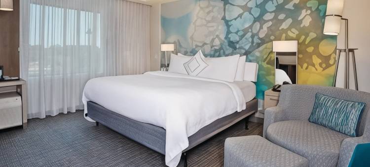 达拉斯花圃万怡酒店(Courtyard Dallas Flower Mound)图片