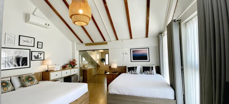 雏菊小屋旅馆(Daisy House)图片