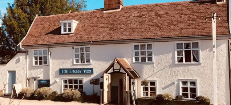 樱桃树酒吧酒店(The Cherry Tree)图片