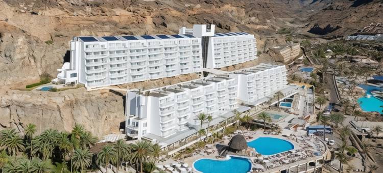 Princess 塔乌里托- 全包加(Princess Taurito)图片