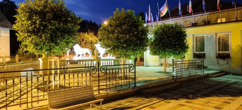 利比维达 Spa 度假村 - 勒斯尼萨蒂希酒店(Spa Resort Libverda - Hotel Lesní Zátiší)图片