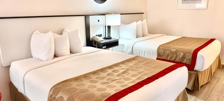 伯明翰机场华美达酒店(Ramada by Wyndham Birmingham Airport)图片