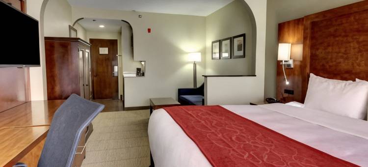 舒适套房酒店-大学科研园(Comfort Suites University - Research Park)图片