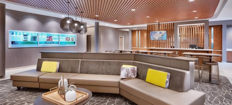 科罗拉多斯普林北／空军学院 SpringHill Suites 酒店(SpringHill Suites Colorado Springs North/Air Force Academy)图片