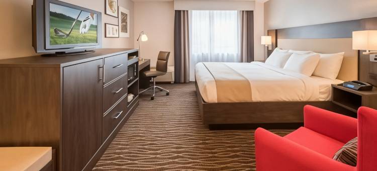 罗彻斯特-皮茨福德/布莱顿丽怡酒店(Country Inn & Suites by Radisson, Rochester-Pittsford/Brighton, NY)图片