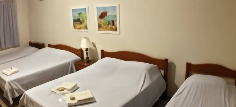 杰丁酒店(Hotel Jardim)图片