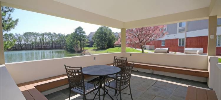 Candlewood Suites 纽波特纽斯/约克敦 by IHG(Candlewood Suites Newport News/Yorktown by IHG)图片