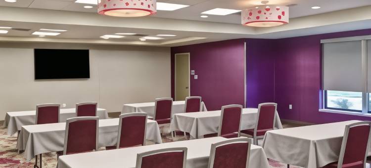 KCI机场希尔顿惠庭酒店(Home2 Suites by Hilton - Kansas City Airport)图片