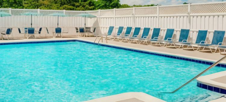 福朋喜来登喜來登酒店-费城机场(Four Points by Sheraton Philadelphia Airport)图片