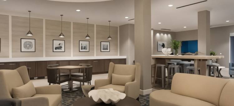 新士麦那海滩SpringHill Suites酒店(SpringHill Suites New Smyrna Beach)图片