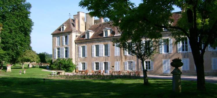 韦泽莱岛屿城堡酒店(Château d'Island Vézelay)图片