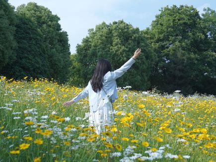 初夏賞花必去！牛首山小雛菊盛放，漫步治癒系絕美花道