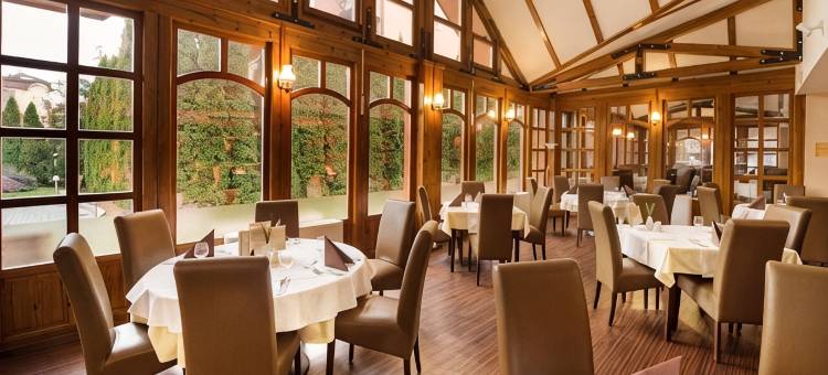 欧罗巴飞度酒店(Hotel Europa Fit Hévíz)图片