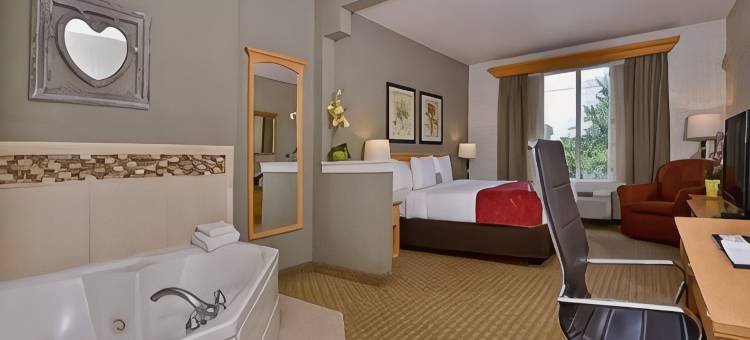 西雅图塔克维拉机场舒适套房酒店(Comfort Suites Airport Tukwila Seattle)图片