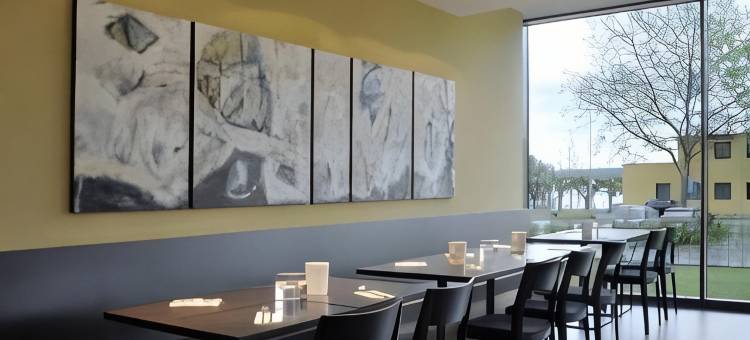 克罗伊茨林根酒店(Hotel Kreuzlingen am Hafen)图片