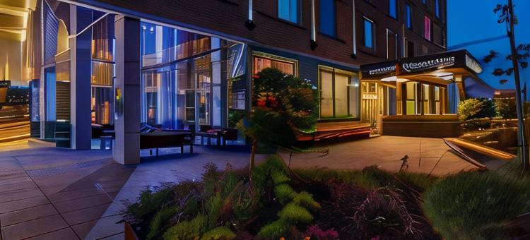蒙特利尔凯悦尚萃酒店(Hyatt Centric Montreal)图片