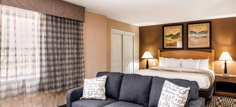 普莱诺东凯艺套房酒店-理查森(Quality Inn & Suites Plano East - Richardson)图片