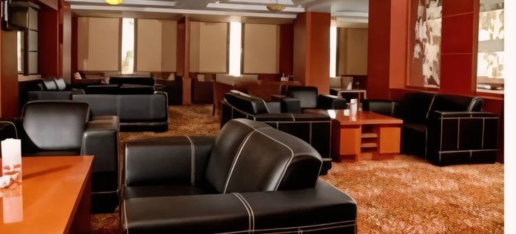 阿巴迪套房酒店和占碑大厦-特里塔马酒店(Abadi Suite Hotel & Tower)图片