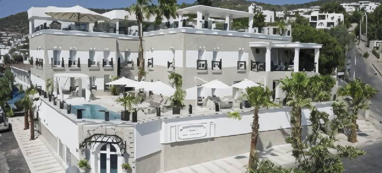 艾纳精品酒店(Ena Boutique Hotel)图片