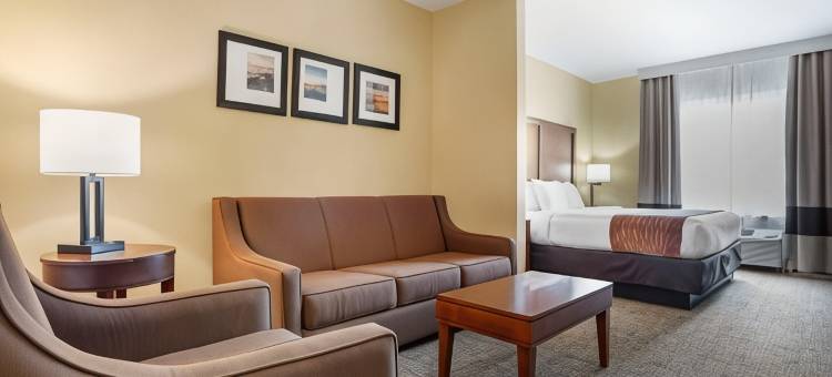 代弗尼西班牙堡舒适酒店及套房 - 移动东(Comfort Inn & Suites Daphne Spanish Fort - Mobile East)图片