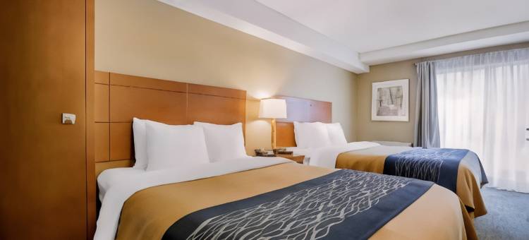 舒适酒店(Comfort Inn)图片