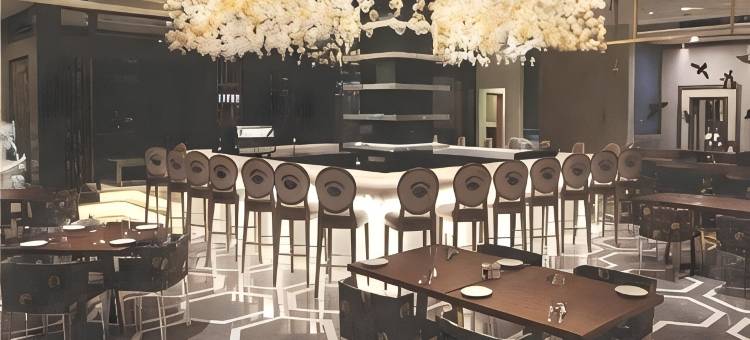 印度国际酒店(The Hotel Hindusthan International)图片